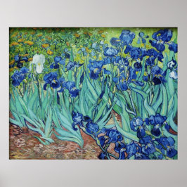 Vincent van Gogh, Irises. Poster