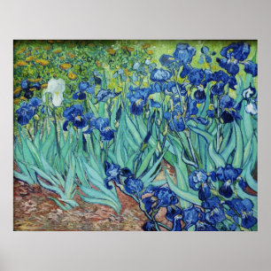 Vincent van Gogh, Irises. Poster
