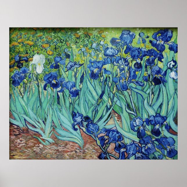 Vincent van Gogh, Irises. Poster (Framsidan)