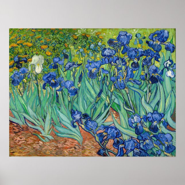 Vincent Van Gogh - Irises Poster (Framsidan)