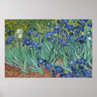 Vincent van Gogh - Irises Poster
