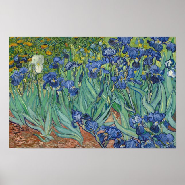 Vincent van Gogh - Irises Poster (Framsidan)