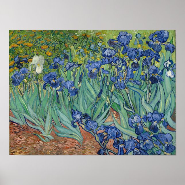 Vincent Van Gogh Irises Poster Print (Framsidan)