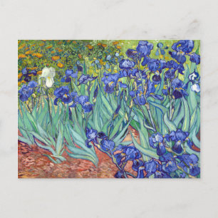 Vincent van Gogh Irises Vykort
