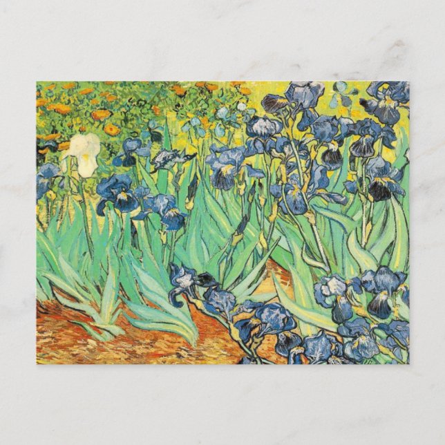 Vincent Van Gogh - Irises Vykort (Framsida)