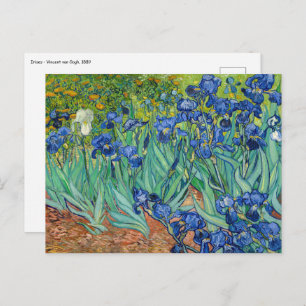 Vincent Van Gogh - Irises Vykort