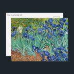 Vincent Van Gogh - Irises Vykort<br><div class="desc">Irises/Iris - Vincent Van Gogh,  1889</div>