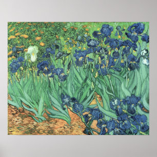 Vincent van Gogh   Järn, 1889 Poster
