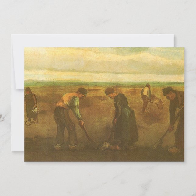 Vincent van Gogh - Jordbrukspotatis (Framsida)