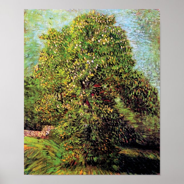 Vincent Van Gogh - Kastanje i blomning Poster (Framsidan)