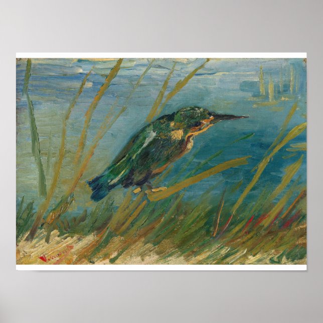 Vincent Van Gogh - Kingfisher från Waterside Poster (Framsidan)