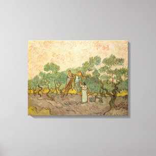 Vincent van Gogh - Kvinnor som plockar oliver Canvastryck