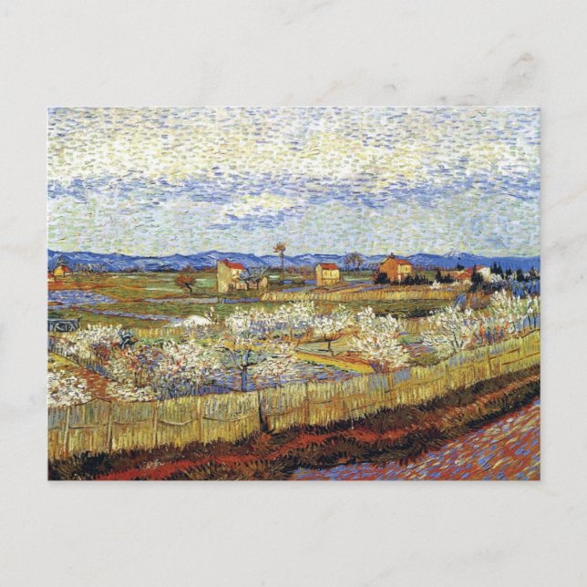 Vincent Van Gogh - La Crau med persiketräd Vykort (Framsida)