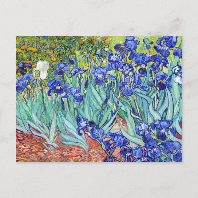 Vincent Van Gogh målar Irisar Inbjudan Vykort (Framsida)