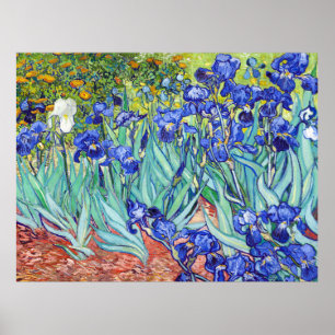 Vincent Van Gogh målar Irisar Poster