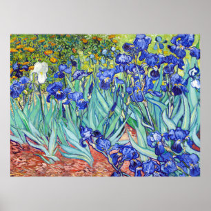 Vincent Van Gogh målar Irisar Poster