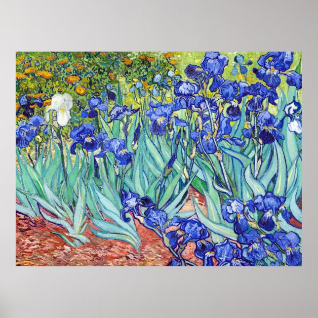 Vincent Van Gogh målar Irisar Poster (Framsidan)