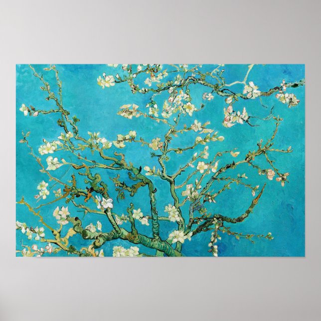 Vincent Van Gogh målning Mandelblommor Poster (Framsidan)