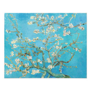 Vincent van Gogh - Mandelblom Fototryck