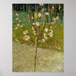 Vincent van Gogh - Mandelträd i blom Poster