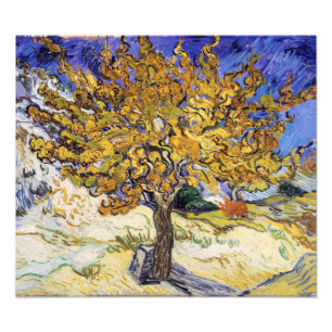 Vincent van Gogh - Mulberry Träd Fototryck