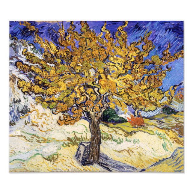 Vincent van Gogh - Mulberry Träd Fototryck (Framsidan)