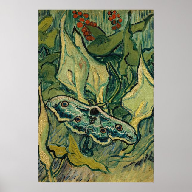 Vincent van Gogh - Nattpfauöga Poster (Framsidan)