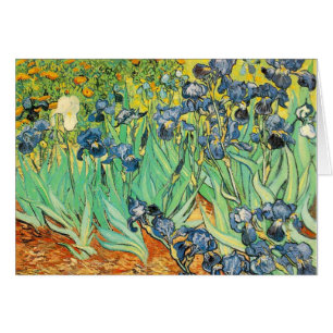Vincent van Gogh OBS Kort