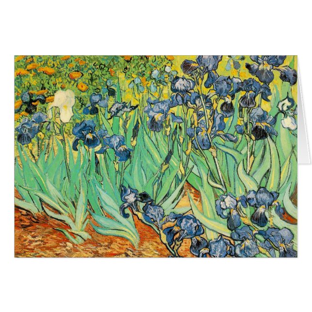 Vincent van Gogh OBS Kort (Framsidan Horizontal)