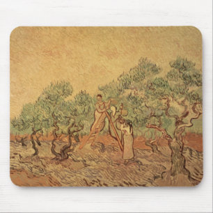 Vincent van Gogh Olive Grove, 1889 Musmatta