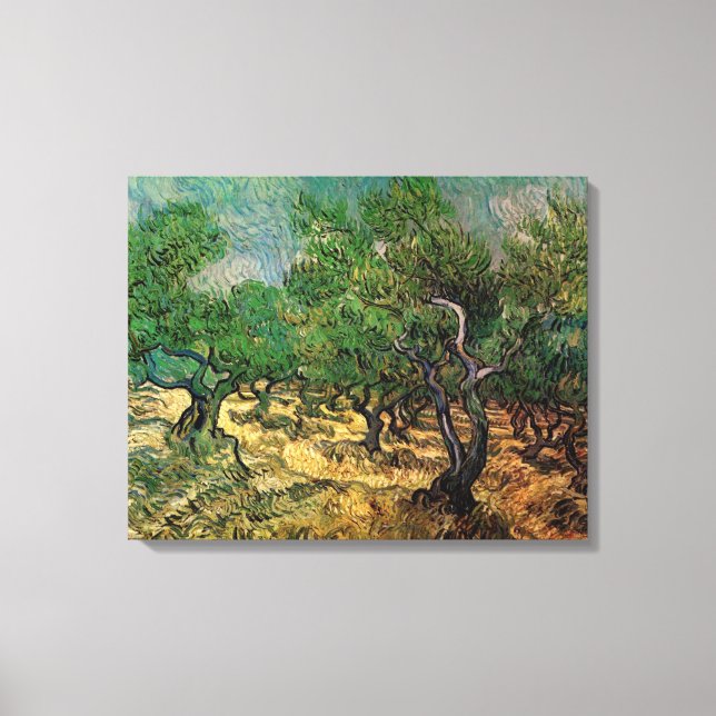 Vincent van Gogh - Olive Grove Canvastryck (Framsida)