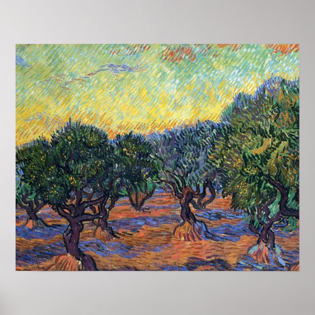 Vincent Van Gogh Olive Grove Impressionism Art Poster (Framsidan)
