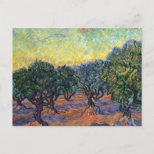 Vincent Van Gogh Olive Grove Impressionism Art Vykort