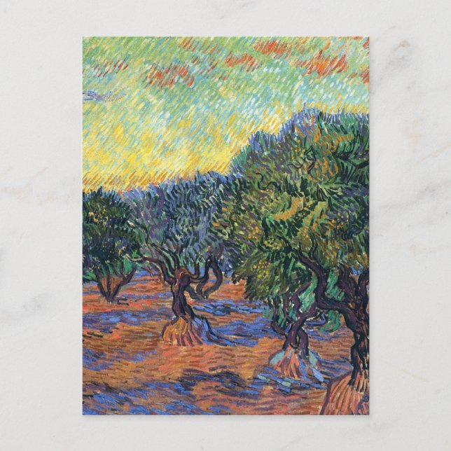 Vincent Van Gogh Olive Grove Impressionism Art Vykort (Framsida)