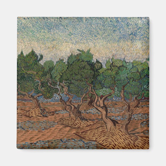 Vincent van Gogh - Olive Grove Magnet (Framsidan)