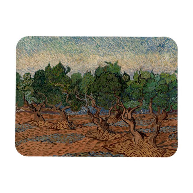 Vincent van Gogh - Olive Grove Magnet (Horisontell)