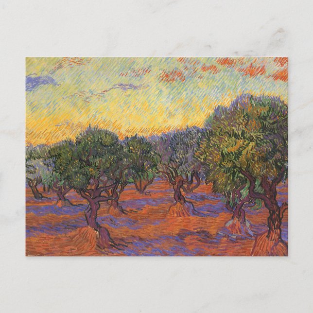 Vincent van Gogh - Olive Grove, Orange Himmel Vykort (Framsida)