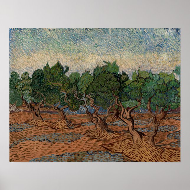 Vincent van Gogh - Olive Grove Poster (Framsidan)
