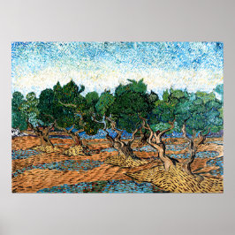 Vincent van Gogh - Olive Grove Poster