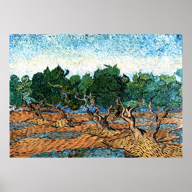 Vincent van Gogh - Olive Grove Poster (Framsidan)