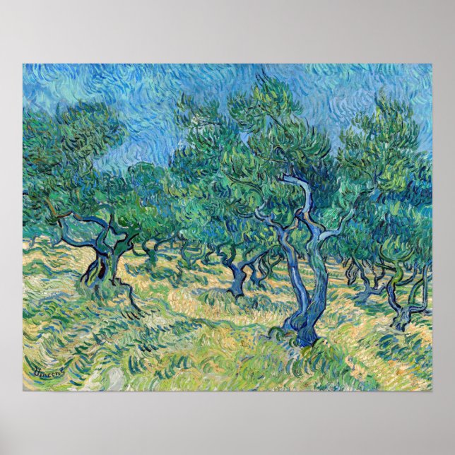 Vincent van Gogh - Olive Grove Poster (Framsidan)