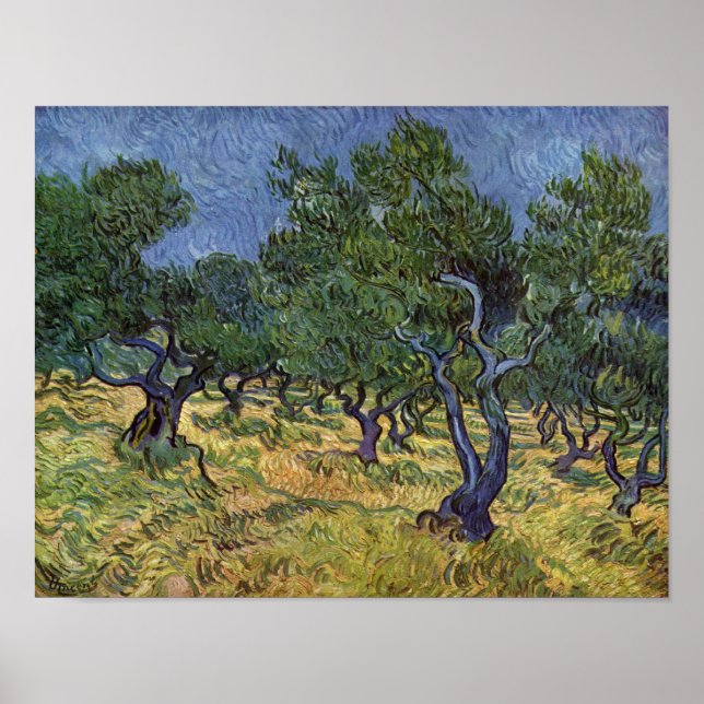 Vincent van Gogh - Olive Grove Poster (Framsidan)