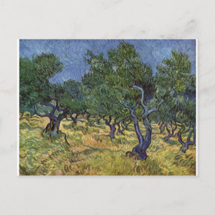 Vincent van Gogh - Olive Grove Vykort