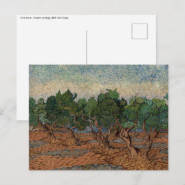 Vincent van Gogh - Olive Grove Vykort