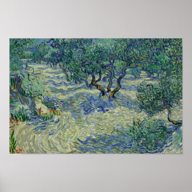 Vincent van Gogh - Olive Orchard Poster (Framsidan)