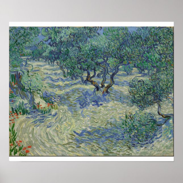 Vincent Van Gogh - Olive Orchard Poster (Framsidan)