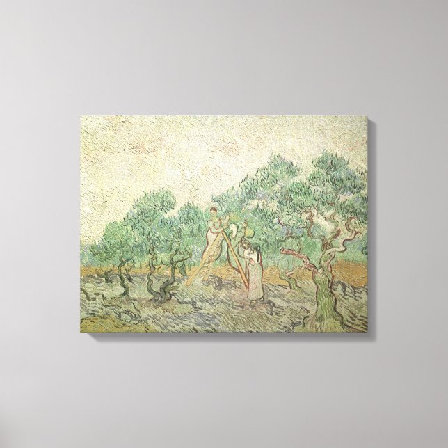 Vincent van Gogh - Olive Picking Canvastryck (Framsida)