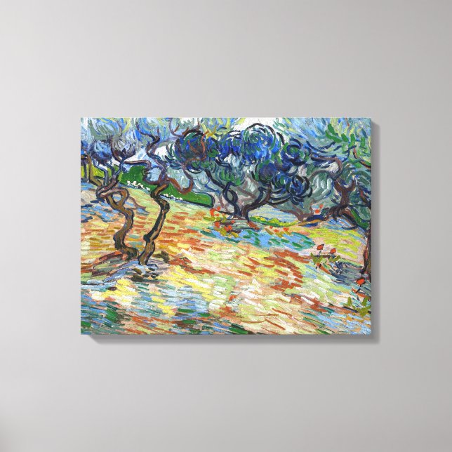 Vincent van Gogh - Olive Träd: Bright blå himmel Canvastryck (Framsida)