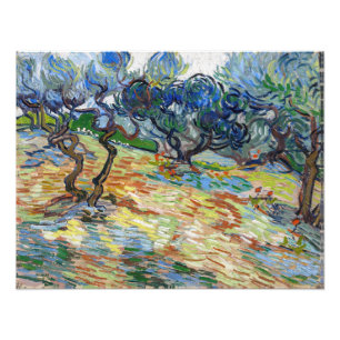 Vincent van Gogh - Olive Träd: Bright blå himmel Fototryck