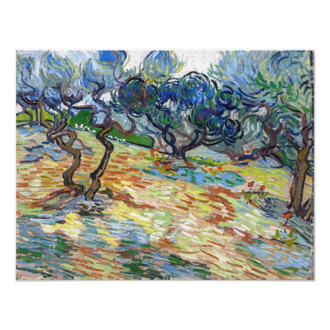 Vincent van Gogh - Olive Träd: Bright blå himmel Fototryck (Framsidan)